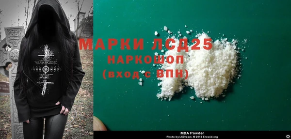 шишки Верея