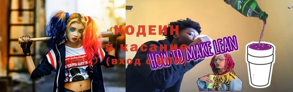 шишки Верея