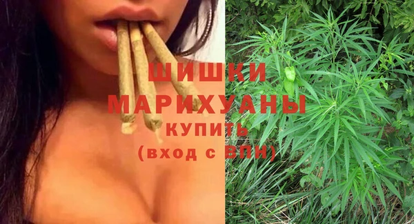 дживик Верхний Тагил