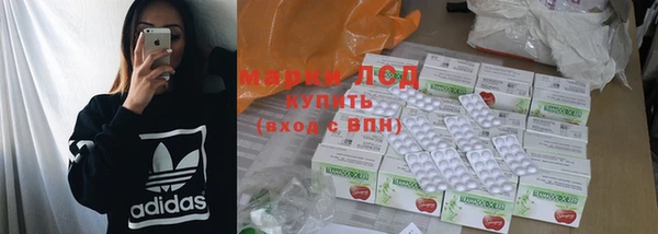дживик Верхний Тагил