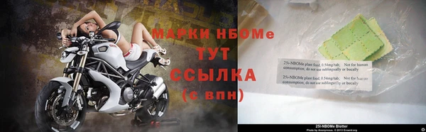 дживик Верхний Тагил
