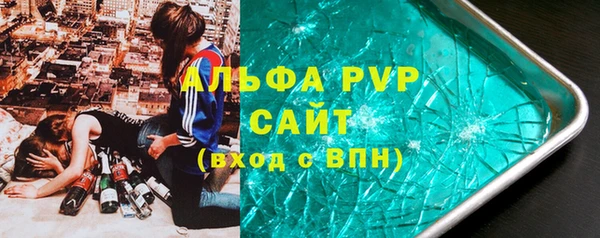 шишки Верея
