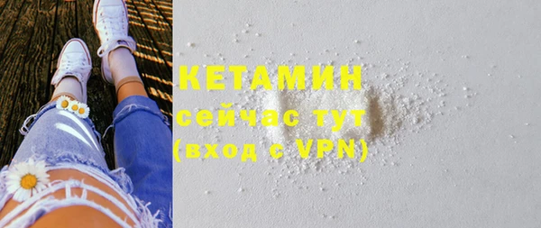 шишки Верея