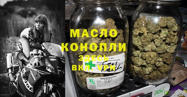 дживик Верхний Тагил